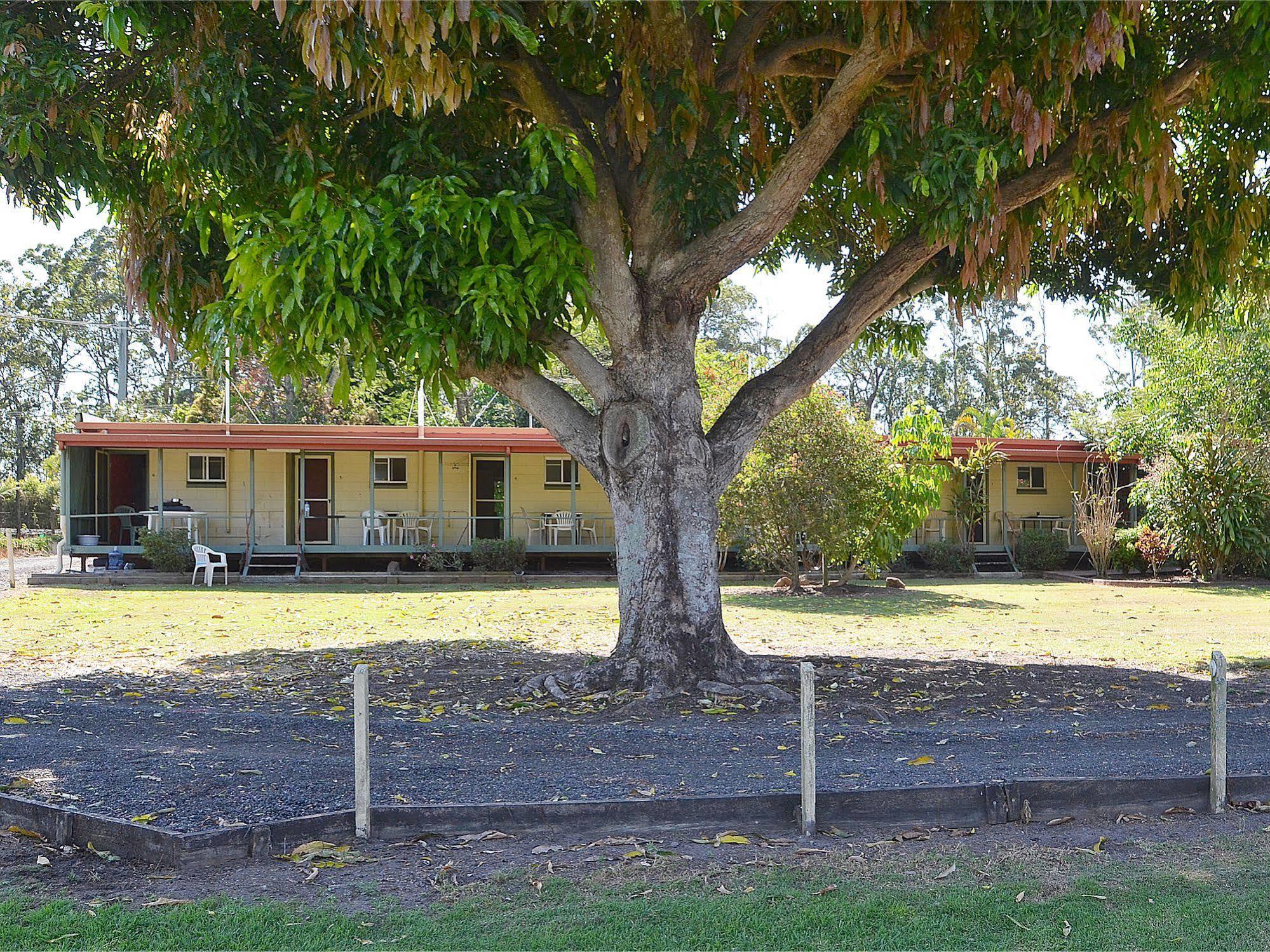 Beerwah Glasshouse Motel エクステリア 写真